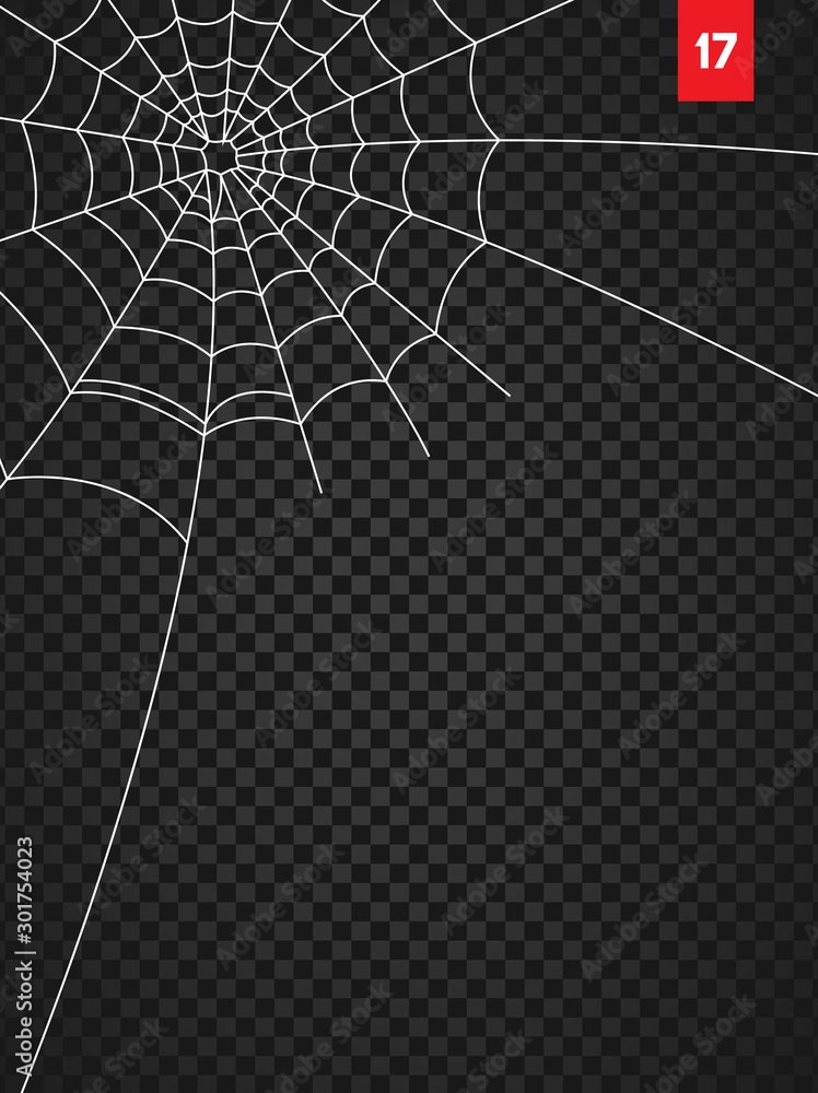 Halloween cobweb and spiders isolated on dark transparency background