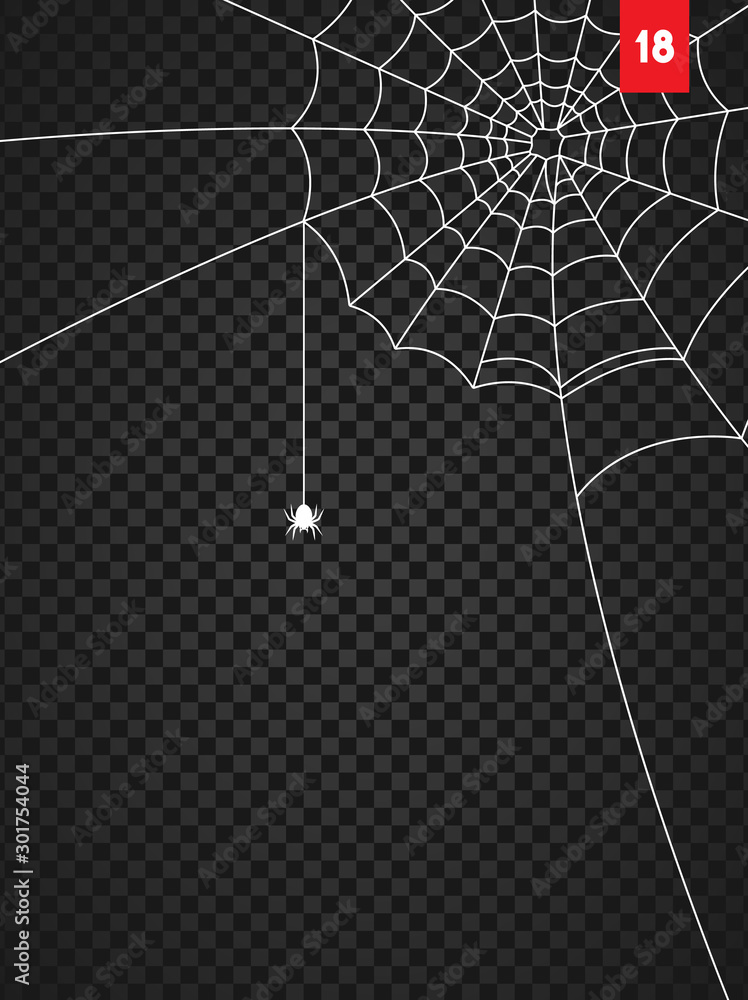 Halloween cobweb and spiders isolated on dark transparency background