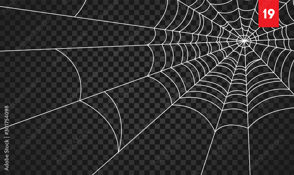 Halloween cobweb and spiders isolated on dark transparency background