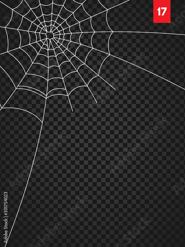 Obraz na płótnie Halloween cobweb and spiders isolated on dark transparency background w salonie