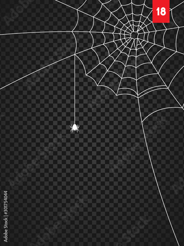 Obraz na płótnie Halloween cobweb and spiders isolated on dark transparency background w salonie
