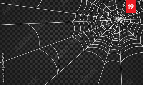 Obraz na płótnie Halloween cobweb and spiders isolated on dark transparency background w salonie