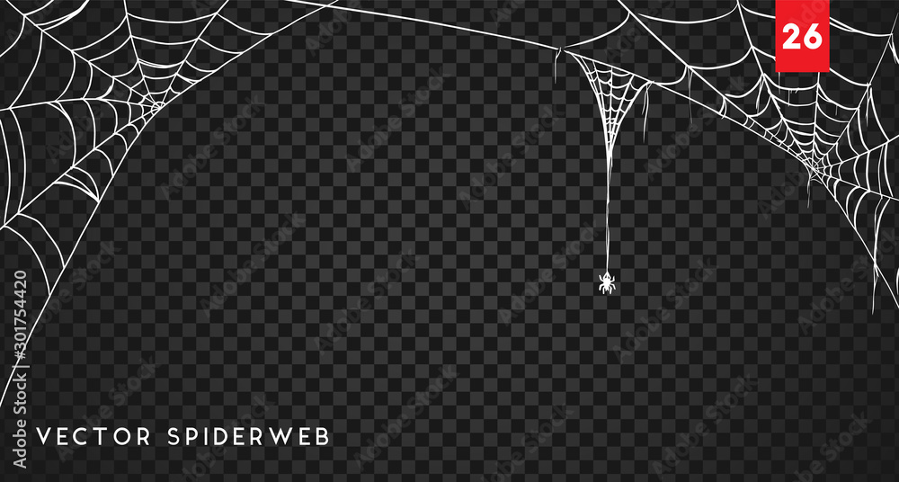 Halloween cobweb and spiders isolated on dark transparency background