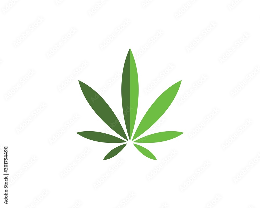 cannabis leaf vector icon illustration design