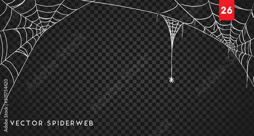 Obraz na płótnie Halloween cobweb and spiders isolated on dark transparency background w salonie