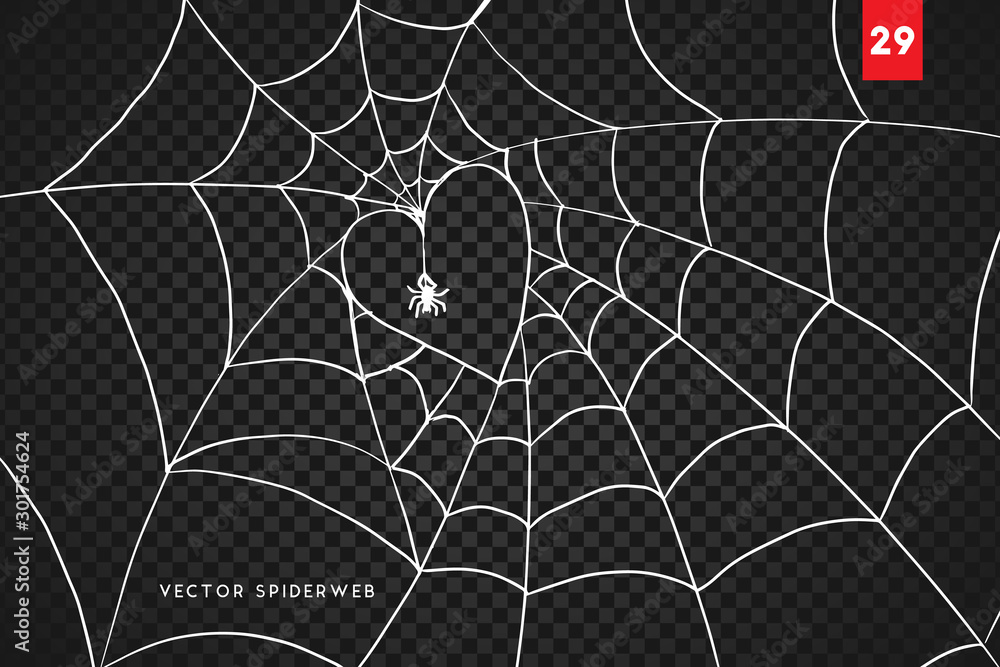 Halloween cobweb and spiders isolated on dark transparency background