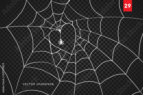Obraz na płótnie Halloween cobweb and spiders isolated on dark transparency background w salonie