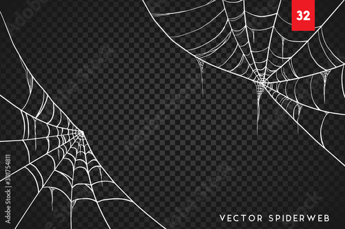 Halloween cobweb and spiders isolated on dark transparency background