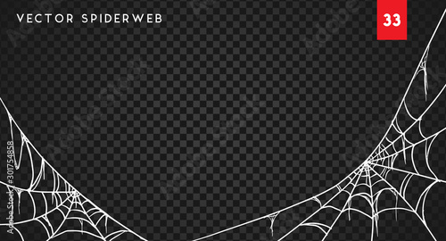 Halloween cobweb and spiders isolated on dark transparency background