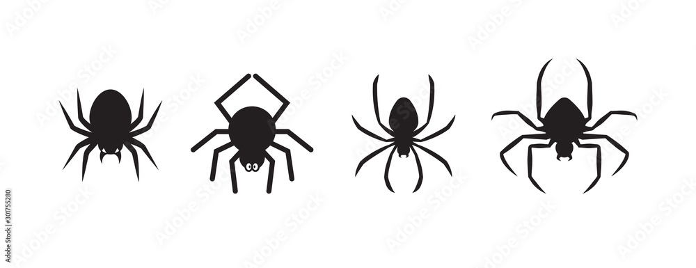 Spiders for decoration and covering on the transparent background. Creepy background for Halloween.