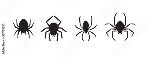 Spiders for decoration and covering on the transparent background. Creepy background for Halloween.