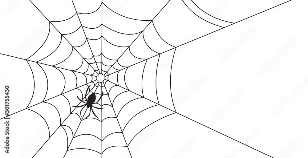 Halloween spider web and spiders isolated on white background
