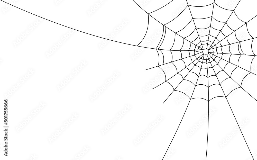 Halloween spider web and spiders isolated on white background
