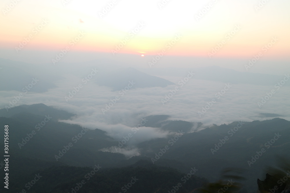 moutian travel white green forest landscape