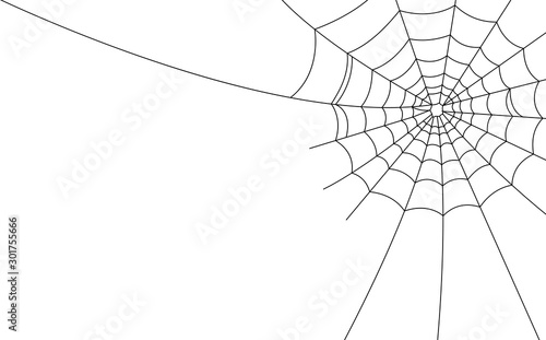 Obraz na płótnie Halloween spider web and spiders isolated on white background w salonie