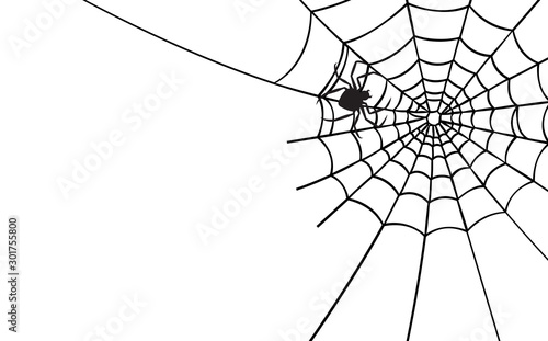 Halloween spider web and spiders isolated on white background