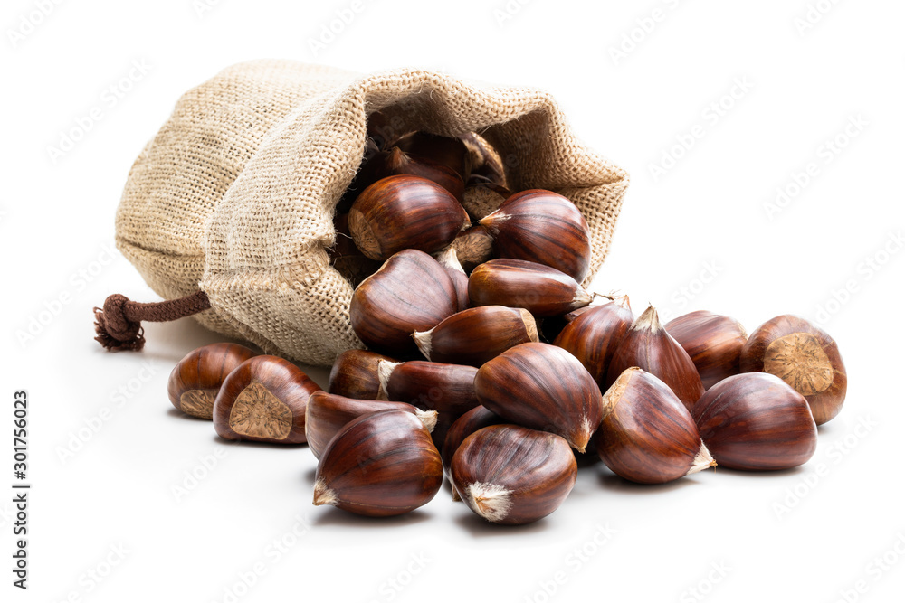 Fresh chestnut scattered of the burlap bag isolated on white Fresh chestnut scattered of the burlap bag isolated on white