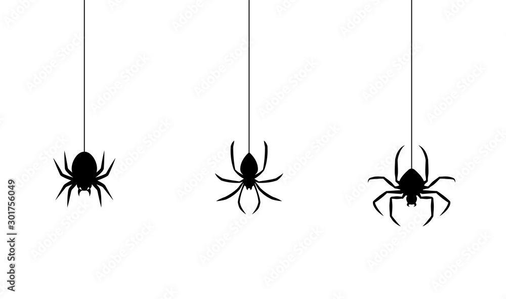 Spiders for decoration and covering on the transparent background. Creepy background for Halloween.