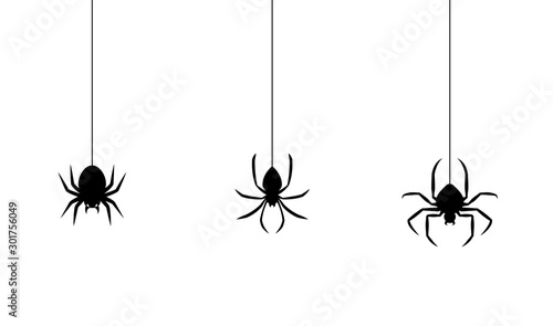 Obraz na płótnie Spiders for decoration and covering on the transparent background. Creepy background for Halloween. w salonie