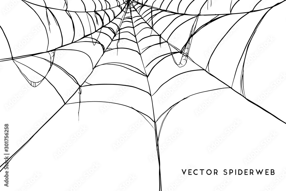 Halloween spider web and spiders isolated on white background