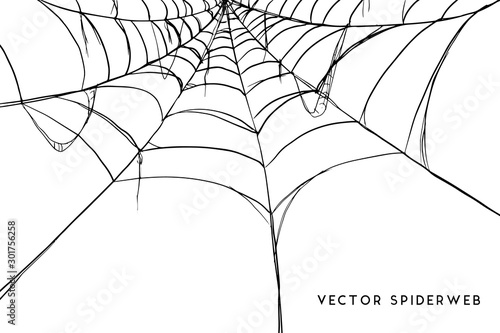Obraz na płótnie Halloween spider web and spiders isolated on white background w salonie