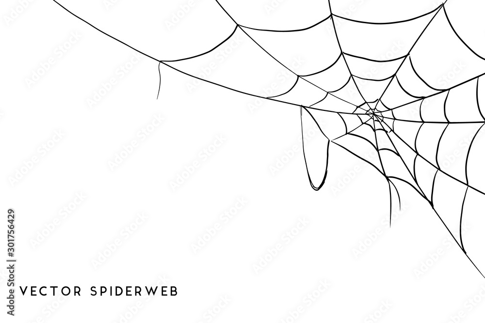 Halloween spider web and spiders isolated on white background