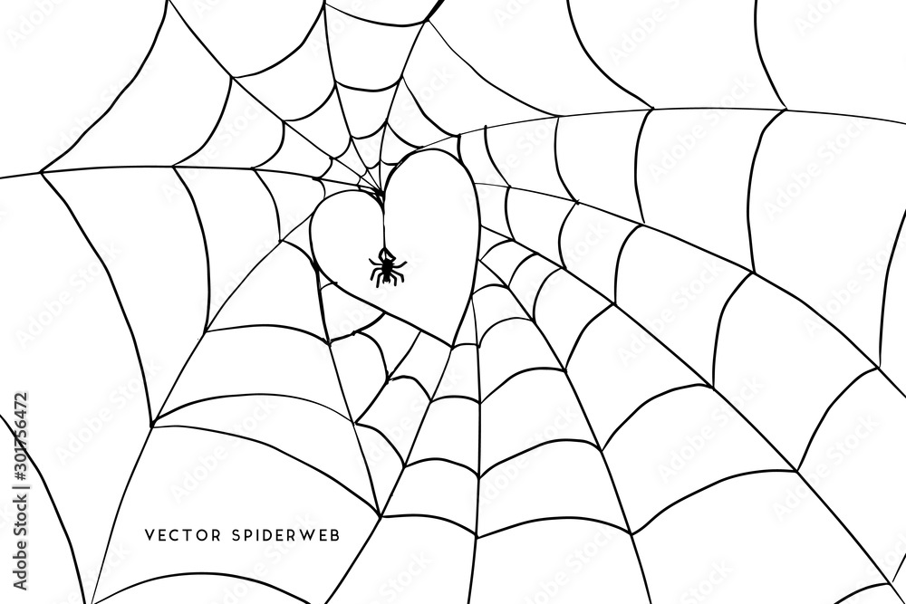 Halloween spider web and spiders isolated on white background