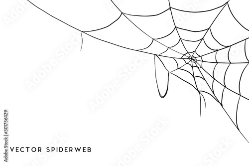 Obraz na płótnie Halloween spider web and spiders isolated on white background w salonie