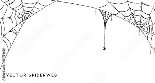 Obraz na płótnie Halloween spider web and spiders isolated on white background w salonie