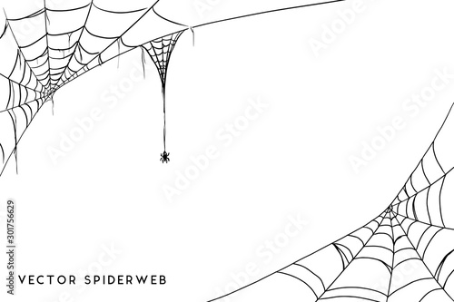 Halloween spider web and spiders isolated on white background