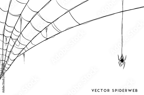Obraz na płótnie Halloween spider web and spiders isolated on white background w salonie