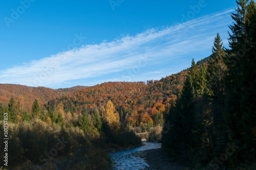 golden autumn in sunny mountains with beautiful blue sky