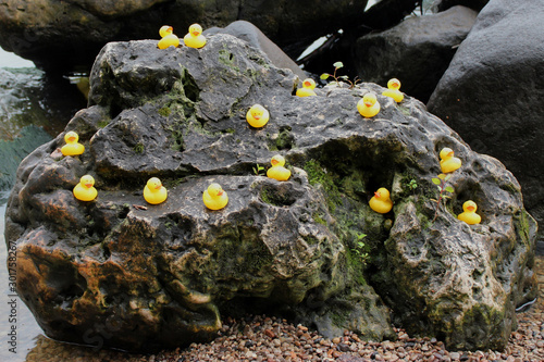 Group of Duckies