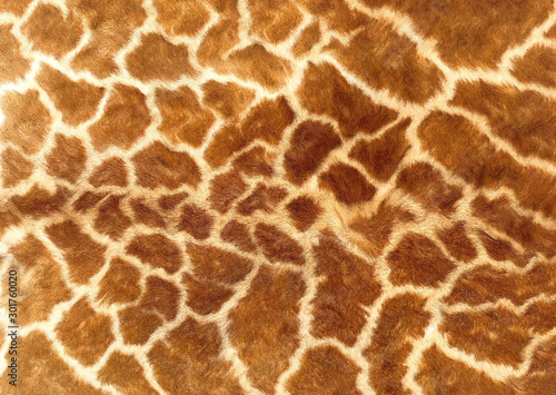 Canvas Print giraffe fur background