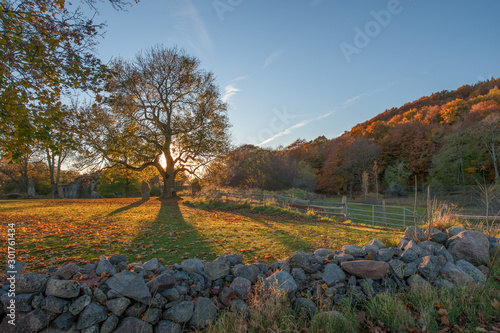 The countryside of Ostergotland at Omberg during autumn in Sweden photo