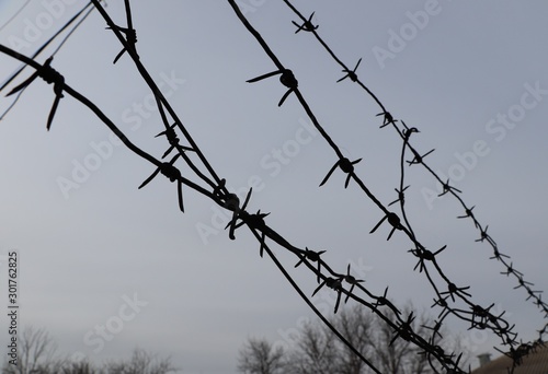 antique barbed wire over tree tops