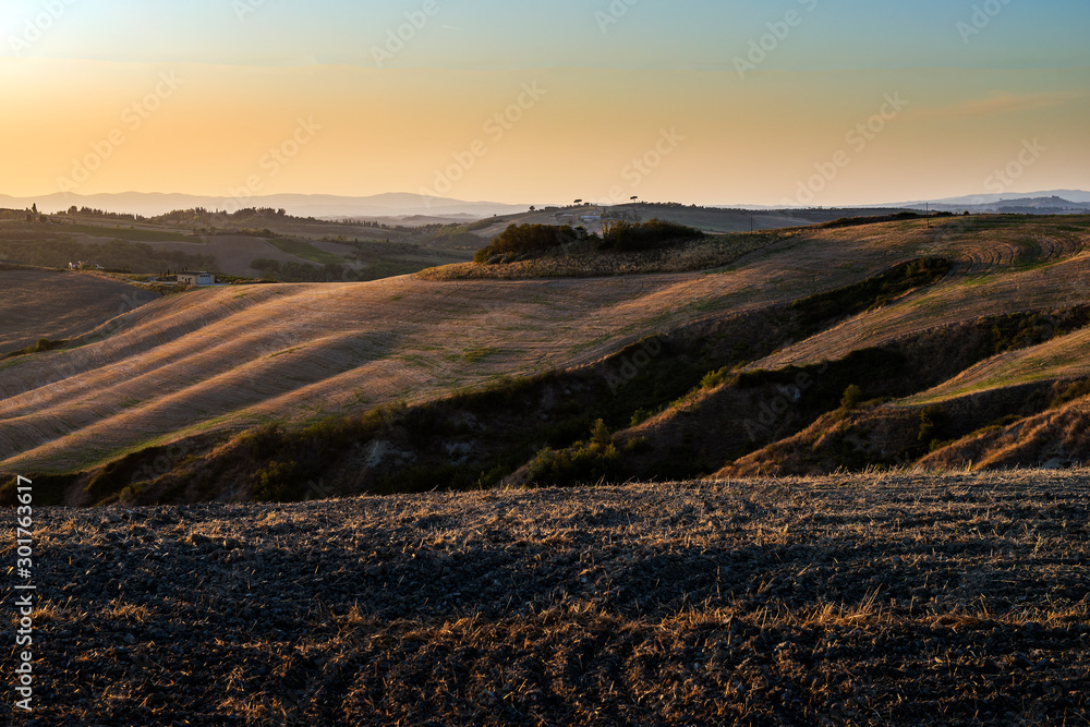 Landscape of the Siena hills at sunset Landscape of the Siena hills at sunset