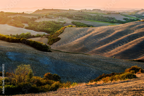 Fototapeta Naklejka Na Ścianę i Meble -  Landscape of the Siena hills at sunset