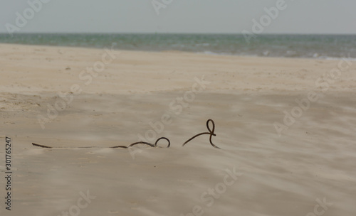 Stahlseil im Sand am Meer