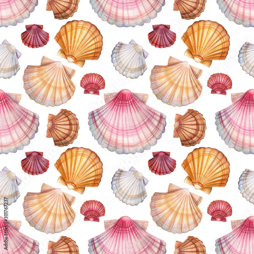 seashell seamless pattern on isolated white background, watercolor illustration