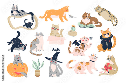 Set of cute funny cats playing, sitting, hiding in box, pumpkin, smiling, laying on scratching post isolated on white background. Hand drawn style. Vector illustration.