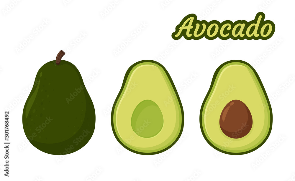 Avocado Vector. Healthy fruit avocado That was cut in half until the seed could be seen inside. Avocado Vector. Healthy fruit avocado That was cut in half until the seed could be seen inside.