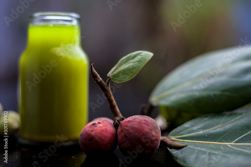 Close up shot of Banyan Tree Extracted Tincture in a transparent glass bottle on black glossy surface along with ripe and raw fruits of a banyan tree. Horizontal shot. photo