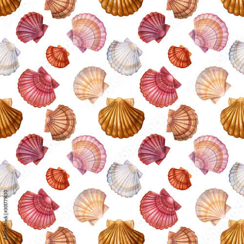 seashell seamless pattern on isolated white background, watercolor illustration