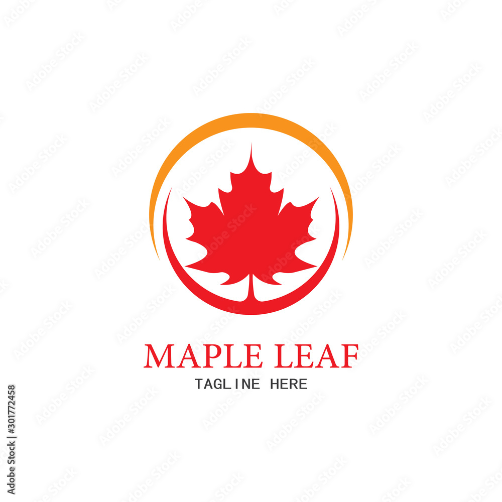 Maple leaf vector illustration Maple leaf vector illustration