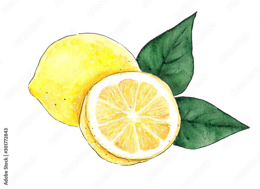 Watercolor yellow lemon food isolated on a white background illustration. Drawn creative graphic design element. - obrazy, fototapety, plakaty 