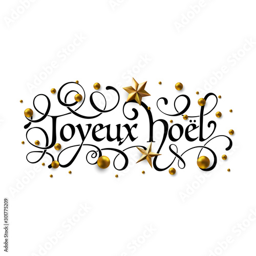 Joyeux Noel et Bonne Annee -  French Merry Christmas and Happy New Year in  French