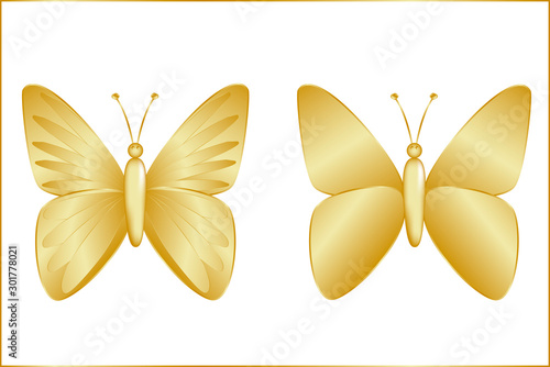 Slika na platnu A collection of golden butterflies with a different pattern on the wings