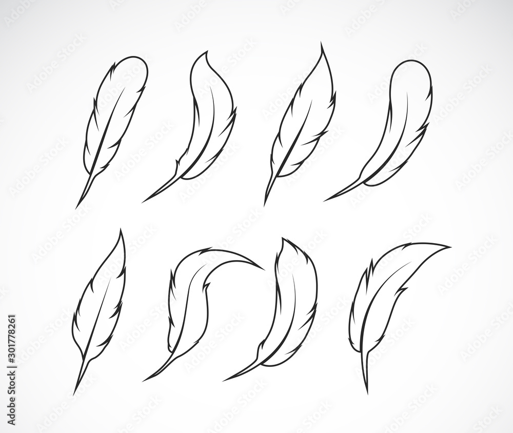 Vector group of feather on white background. Easy editable layered vector illustration.