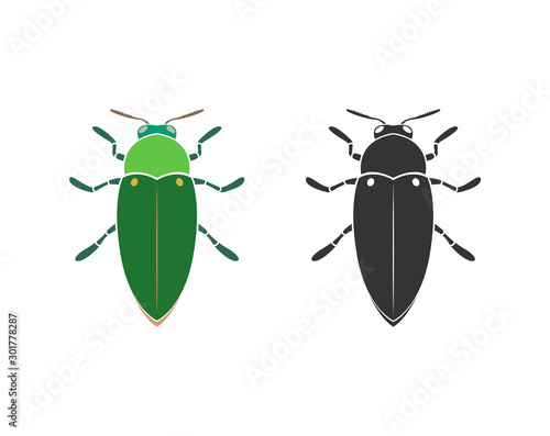 Vector of jewel beetle on a white background. Insect. Animal. Beetle. Easy editable layered vector illustration. © yod67